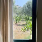 Orange Garden * Himara