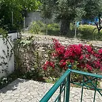 Orange Garden