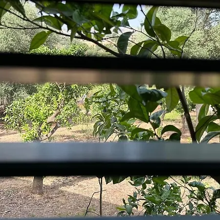 Villa Orange Garden Himare