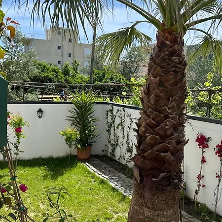 Orange Garden Villa