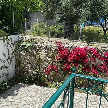 Orange Garden