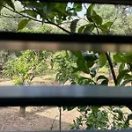빌라 Orange Garden 히마레