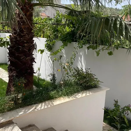 Orange Garden *