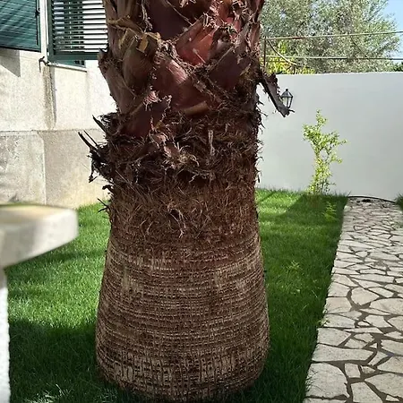 Villa Orange Garden Himare