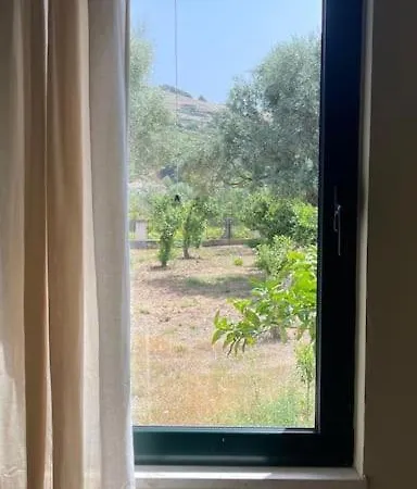 Orange Garden * Himare