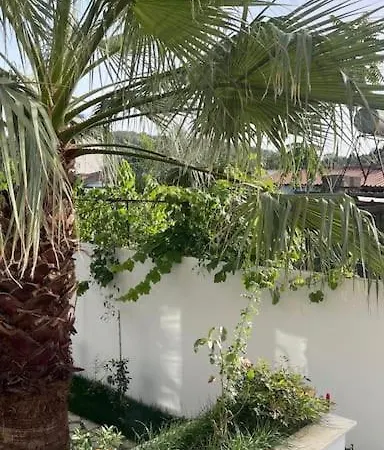 Villa Orange Garden