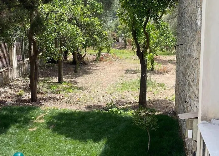 别墅 Orange Garden 希马拉