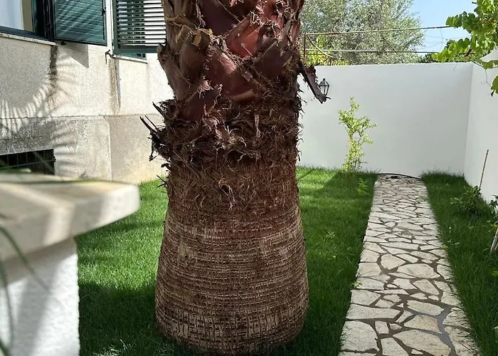 别墅 Orange Garden 希马拉