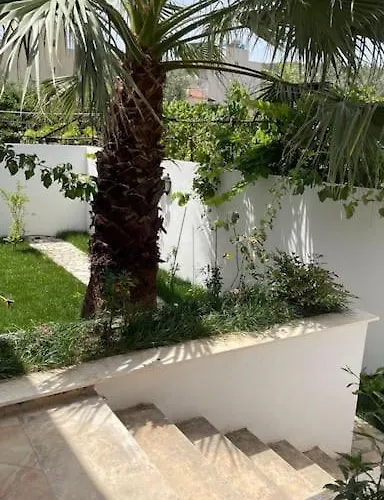 Orange Garden 希马拉