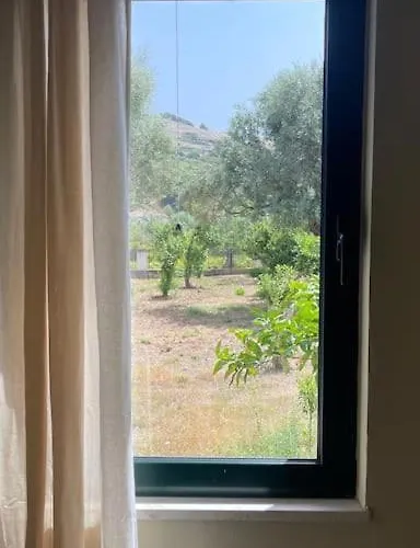 Orange Garden * 希马拉