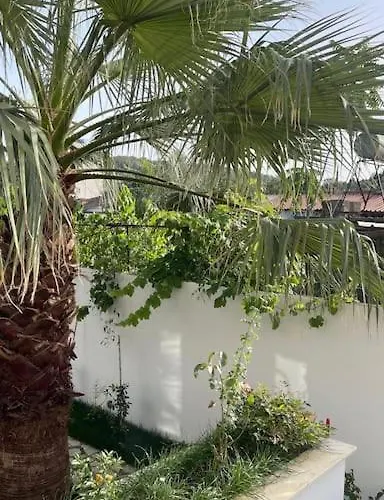 别墅 Orange Garden