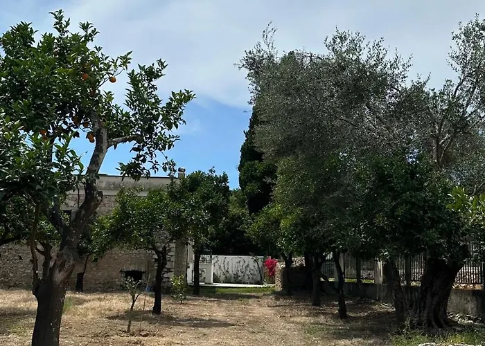 别墅 Orange Garden 希马拉